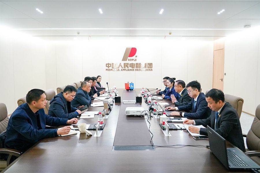 乐清市副市长叶序锋到访人民控股集团开展调研工作