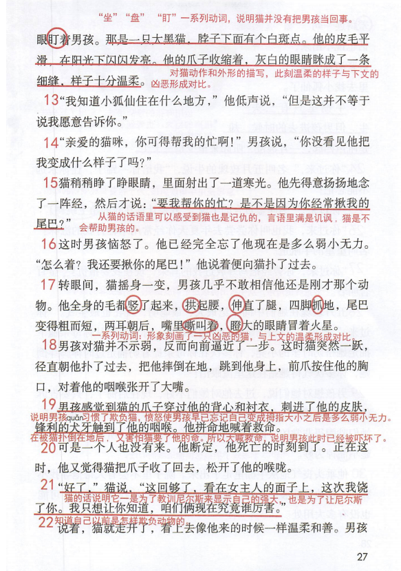 統編版語文六年級下冊第6課《騎鵝旅行記(節選)》課文知識點,同步練習