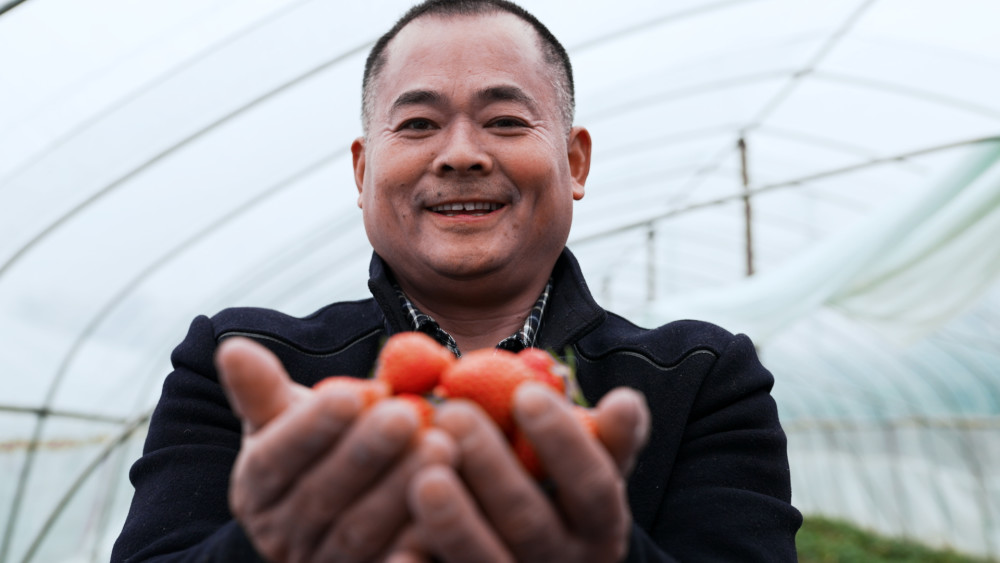 2012年,在北京务工的杨长太遭遇交通事故,养病期间