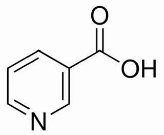 煙酰胺居然屬於維生素b族對皮膚居然有這些效果