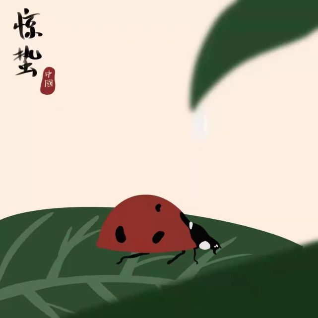 一切蛰伏已久的美好都在赶来千万种颜色都苏醒今日惊蛰"到了惊蛰,春天