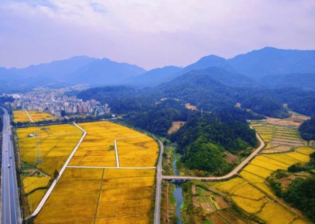 义乌大陈镇全力打造高标准农田下好春耕备耕先手棋