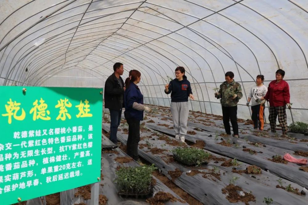 定远县西卅店镇高潮村种植大户黄国勇的蔬菜大棚时,正碰到安徽农业