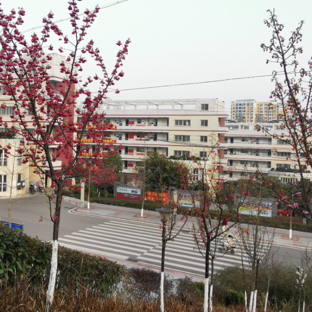 三台县芦溪中学2020级举行第十六期"边山讲坛"