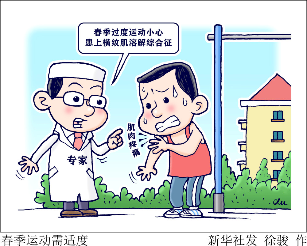体适能检测系统：全面提升身体素质的新工具