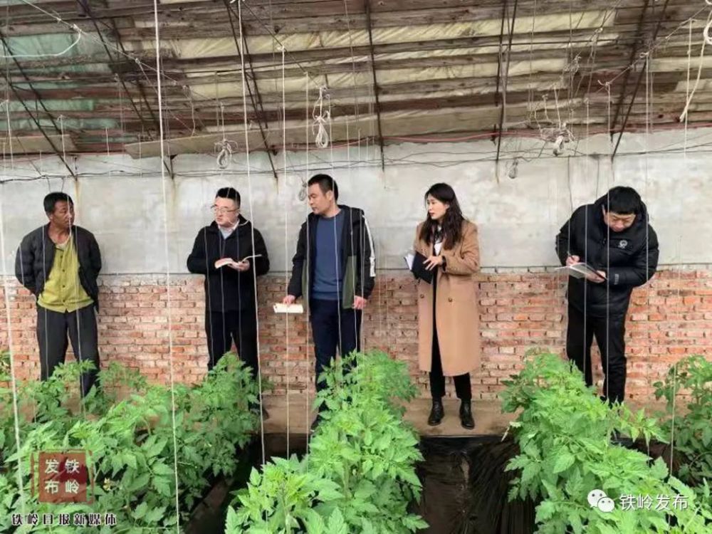 党员群众都喜欢调兵山市主题党日新形式组织生活活起来