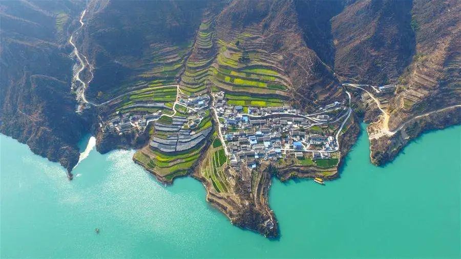 在陇南文县白龙江沿岸的碧口镇漫山遍野的油菜花绽放在春日原野成为