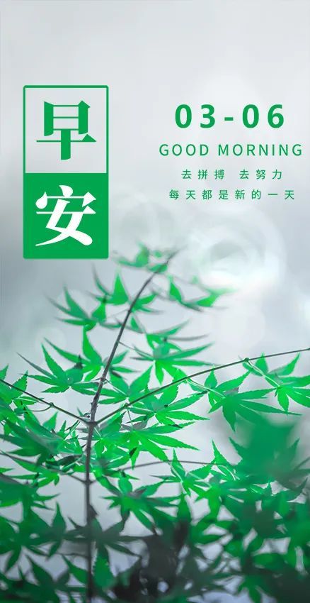 每日一签日历图片今日3月6日早安