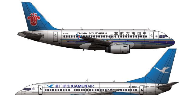 一架隸屬於中國南方航空公司大連分公司的空中客車a319-100型客機