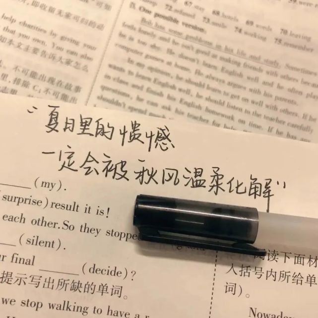 三觀超正的文案