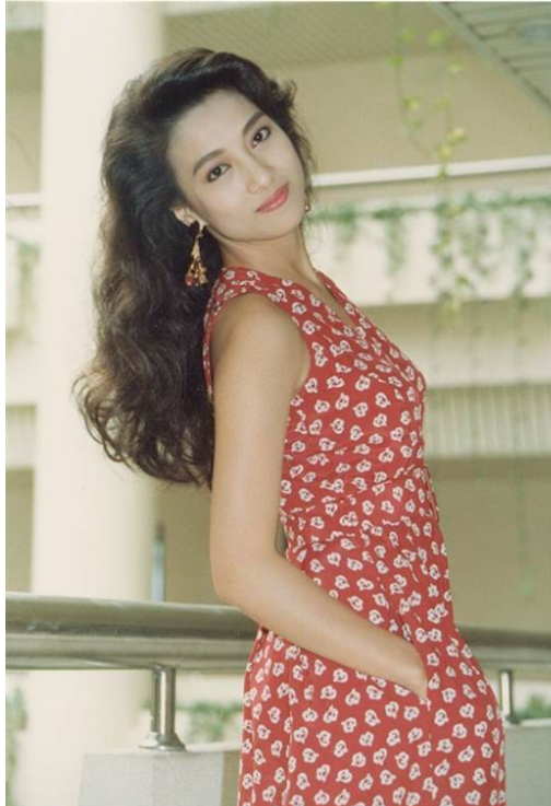 家有仙妻的男女主现状林以真嫁富豪澎恰恰欺负人还破产