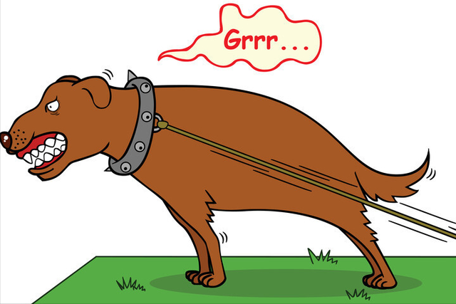 狗对着没人的地方吼叫是什么意思