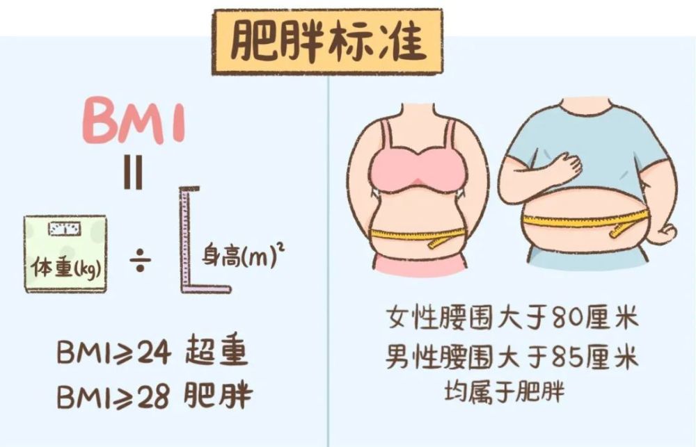 注:肥胖的标准包括体质量指数(bmi),腰围,可以对照下图算一算