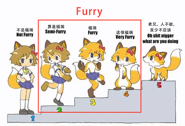 furry兽迷福瑞控为什么大家这么喜爱毛茸茸这一定是你所见过最全面的