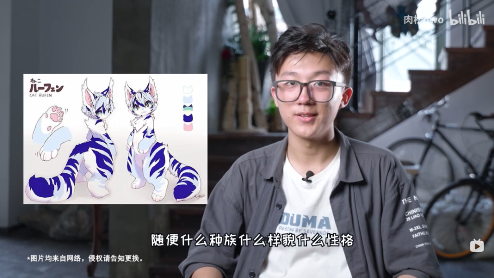 furry獸迷福瑞控為什麼大家這麼喜愛毛茸茸這一定是你所見過最全面的