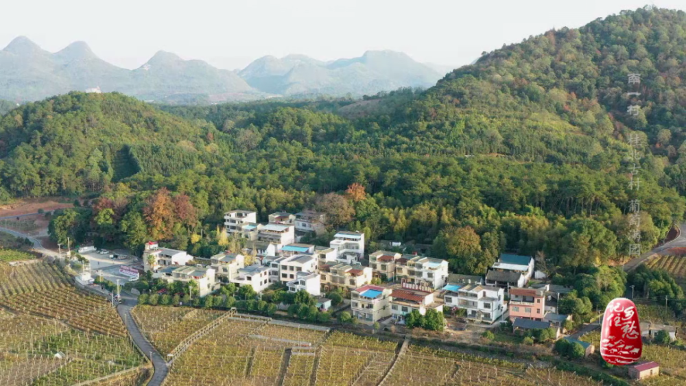 南一村是全州县唯一的全国文明村.