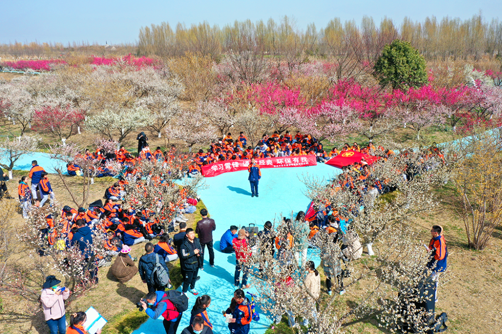 全体女性免门票啦泗洪洪泽湖湿地三八节邀你看梅花