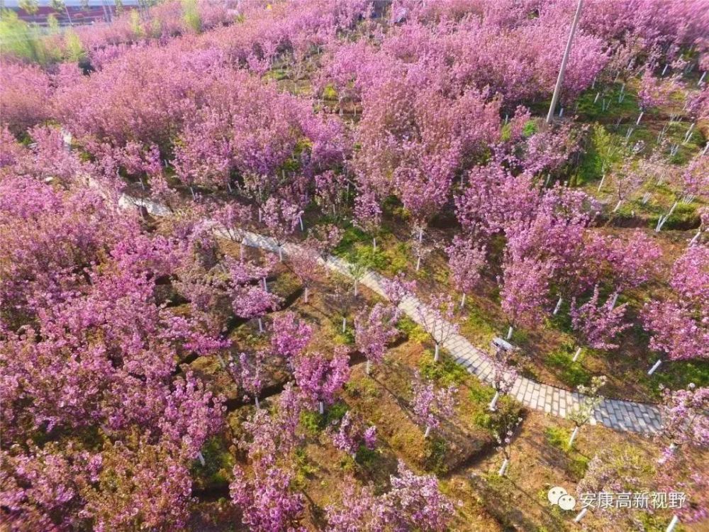 安康汉阴桃花谷地址图片