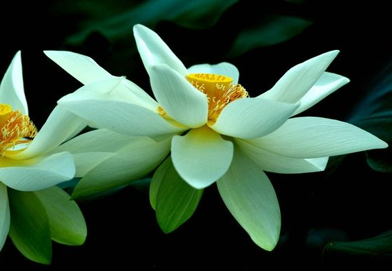 3月10日开始 吉星照耀 4属相事业进步 家庭和谐兴旺 腾讯新闻