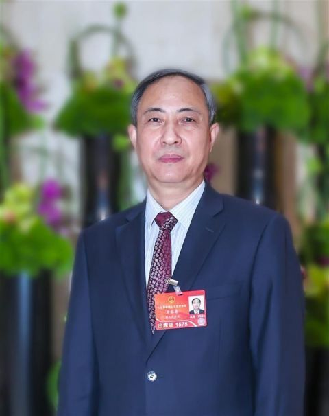 "3月5日,全国人大代表,国家电网有限公司华中分部党委书记肖黎春表示