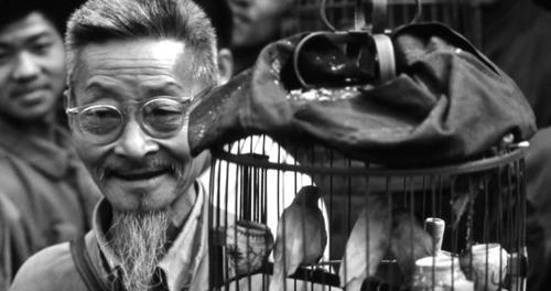 铁齿铜牙纪晓岚中金大烟袋到底有何来头能让和珅下跪