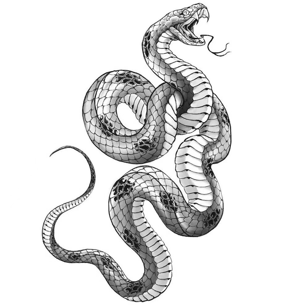 omg!蛇纹身素材作为侧腰纹身太好看了!插图4