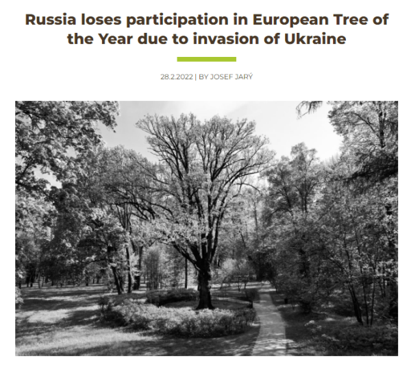 适合练单词的英语游戏乌克兰夫斯基难民署军费不放过超过树