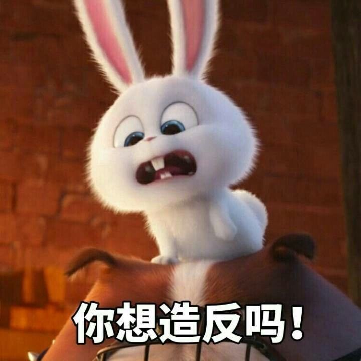 可爱小兔子表情0306