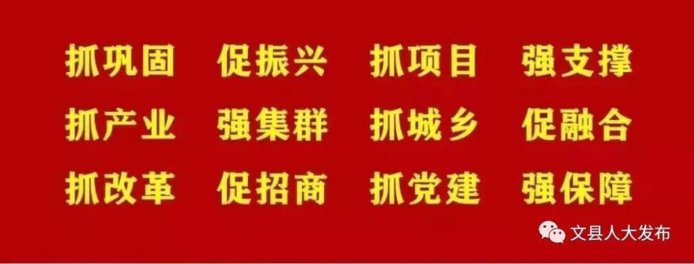 文县第十六届人民代表大会常务委员会第三次会议人事任免名单