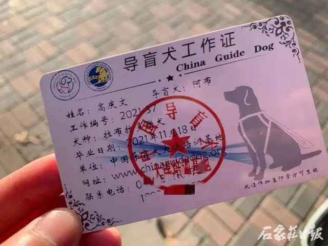 最动听的鸣笛声只为一个特殊乘客响起