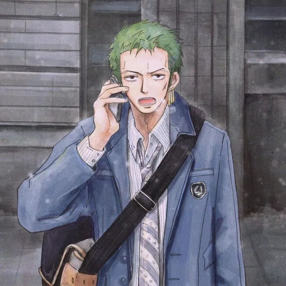 海贼王头像山治索隆头像