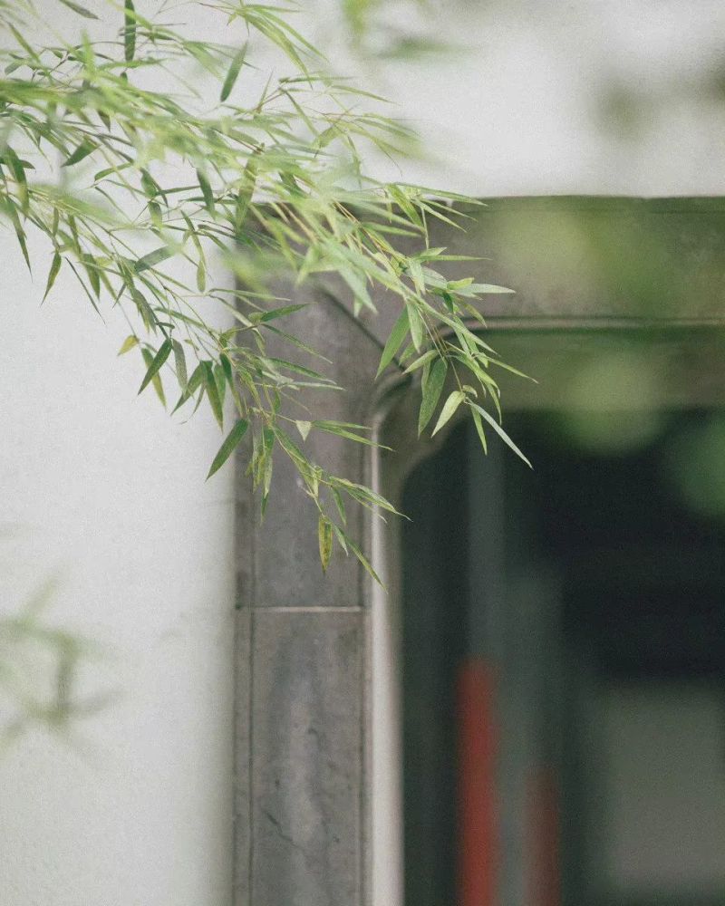 南窗睡多春正美