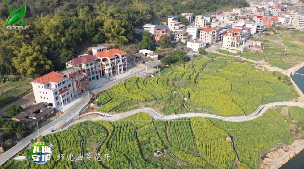 飞阅经兜村油菜花田