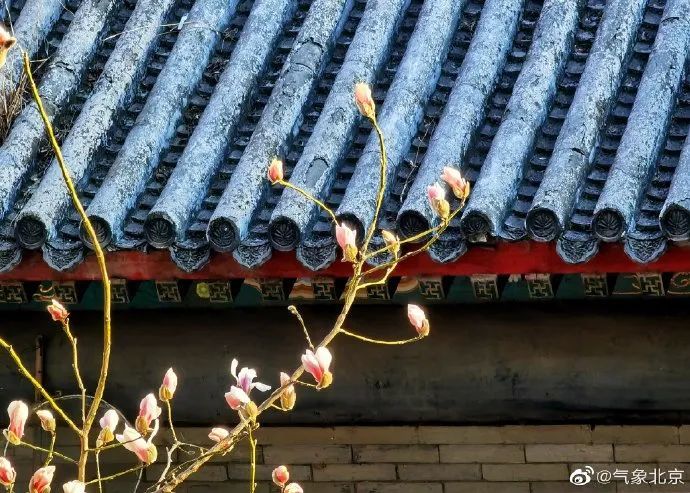 11℃16℃17℃19℃……北京，春暖花开！六级考两次会覆盖成绩吗