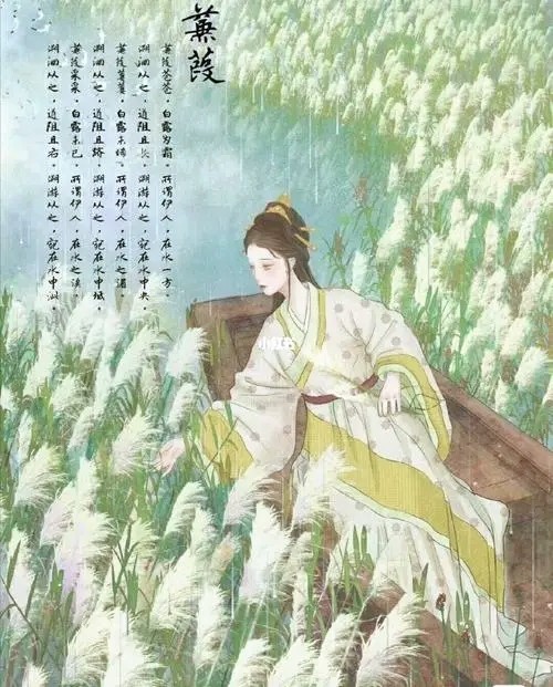 诗经——思无邪|五经|思无邪|诗经|孔子|文言文