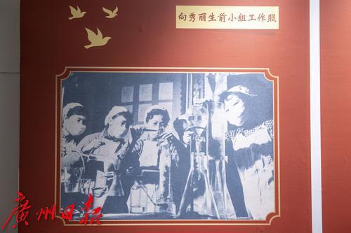 “梦幻联动”！雷锋和向秀丽精神“千里牵手”，向秀丽之孙如今入职广药_腾讯新闻