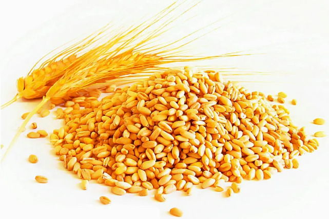 有趣的汉字莱西莱州莱芜蓬莱山东的这些城市为何都有个莱字