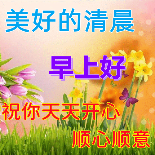 非常漂亮早晨好問候語表情包早晨好圖片祝福語