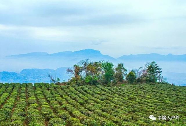 西蜀漏天,四川雅安名山區蒙頂山風景區旅行攻略