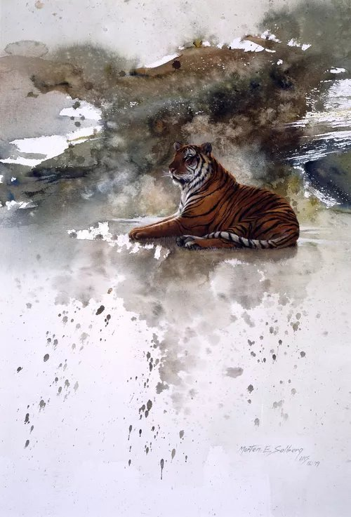 动物绘:水彩野生动物绘画作品,美国画师67morten e.solberg