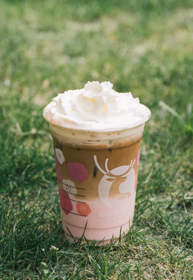 此外还有樱花小铁,粉樱气泡咖啡等多款樱花季限定等你解锁