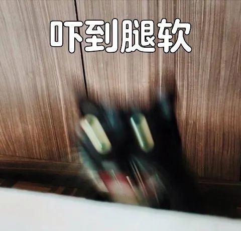 网友第一次买房,被吓得腿发软,房子都不想要了