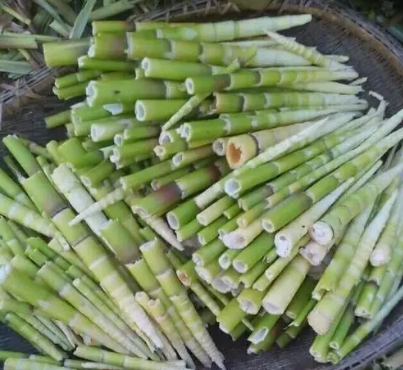 當然了,春天的野菜遠不止這些,還有許多人愛吃的刺五加,枸杞芽,花椒芽