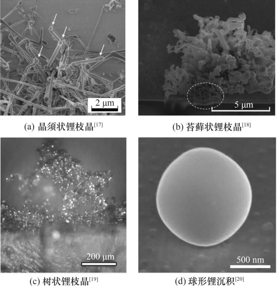 在锂金属沉积过程中形成的锂晶体不仅有枝晶形貌(晶须状枝晶,苔藓状枝