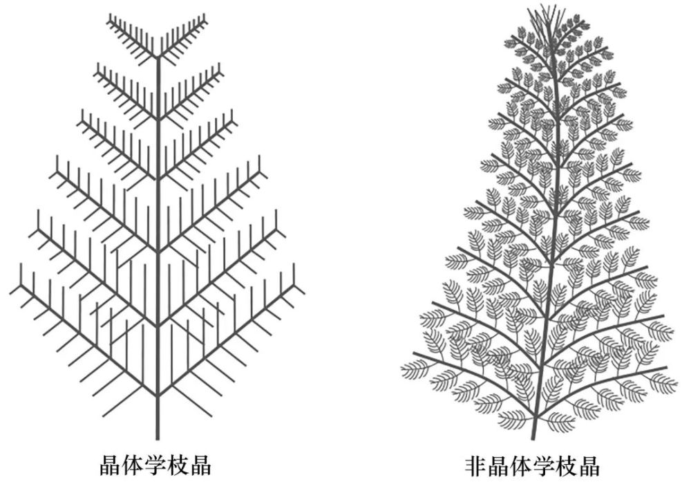 树枝晶的生长过程图片