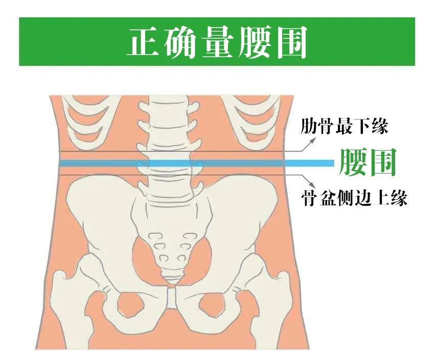 髂嵴最高点平对图片