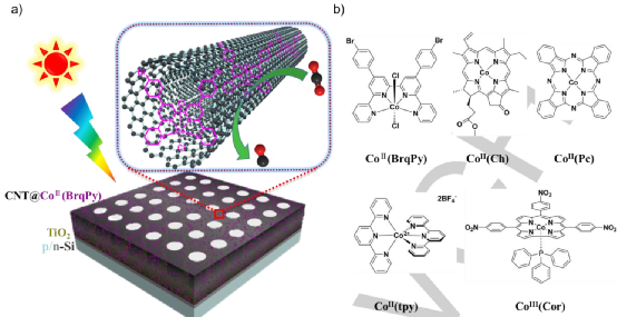 鈷分子催化劑/碳納米管光催化co2還原!