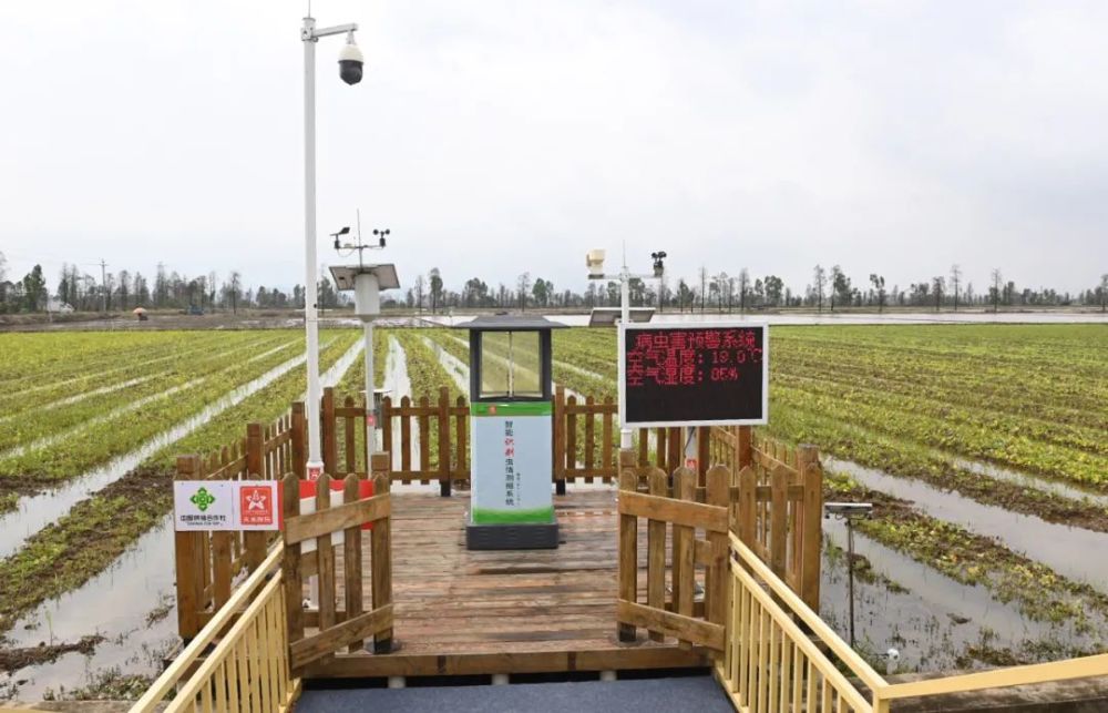 江门好一幅科技春耕图不负农时不负春