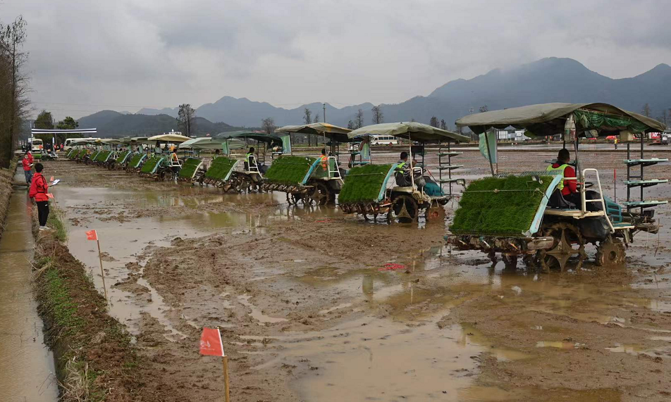 江门好一幅科技春耕图不负农时不负春