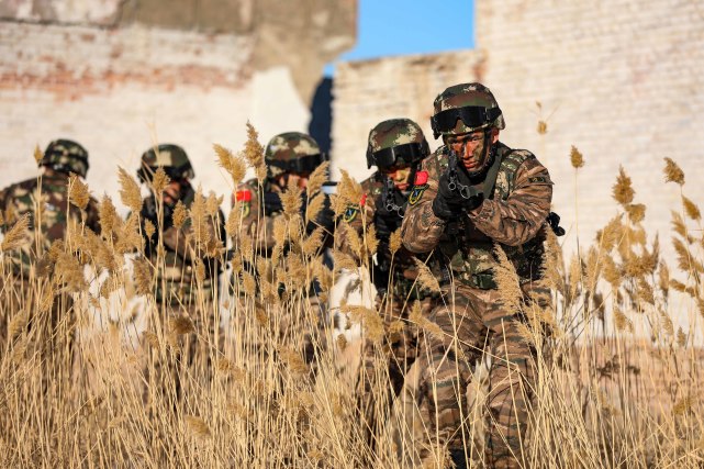 利劍出鞘直擊武警特戰隊員實戰化訓練